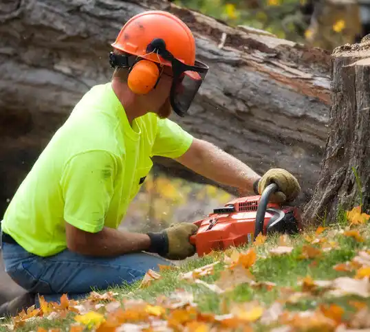 tree services Jewett